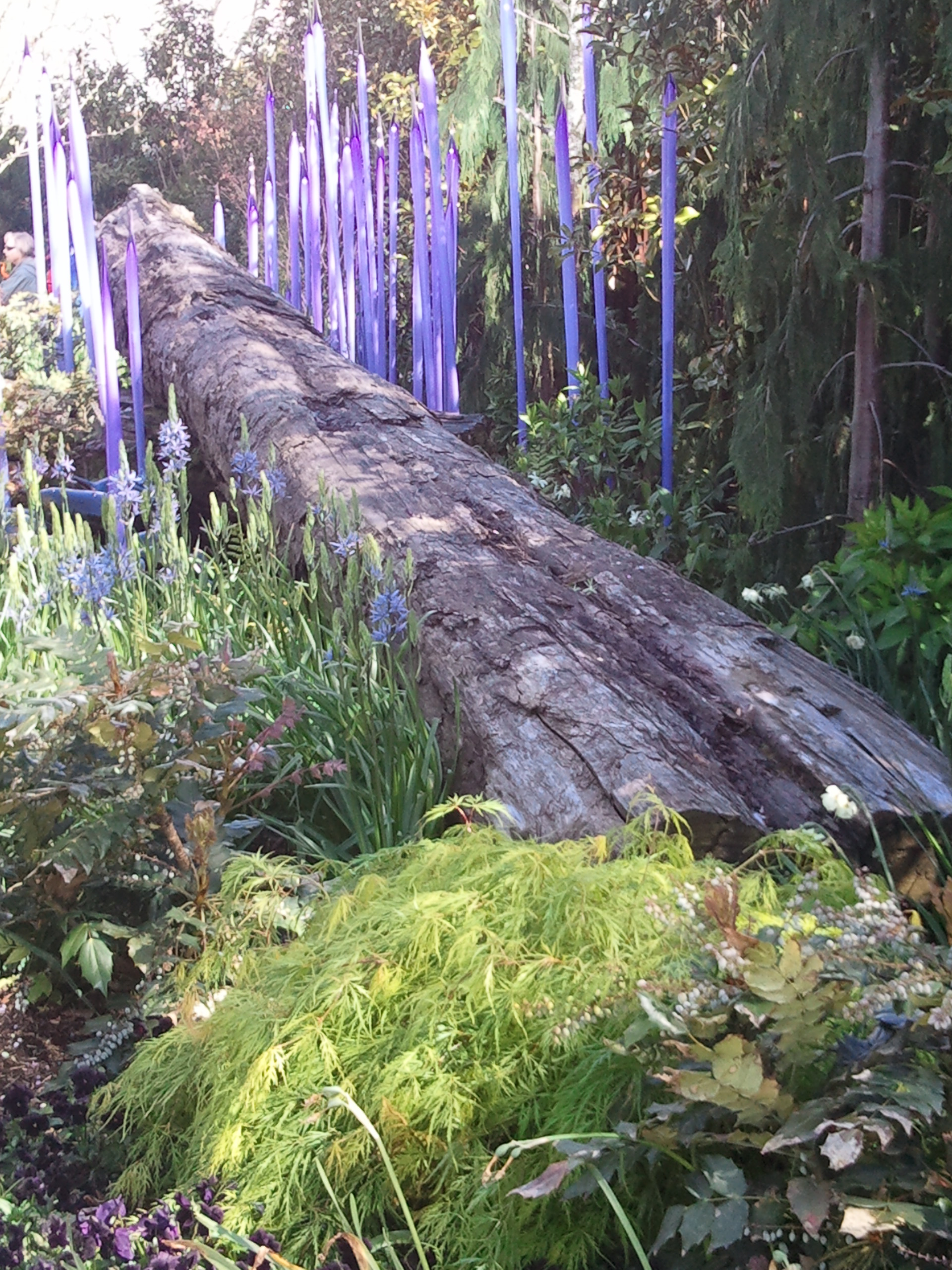 Nature-led Architecture: Biophilic Design – The Nature-led Life