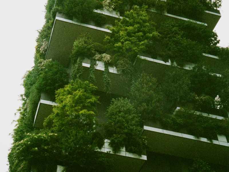 Nature-led Architecture: Biophilic&nbsp;Design